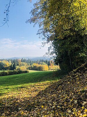 Naturbild, Aussicht des Waldkindergartens auf die herbstliche Natur