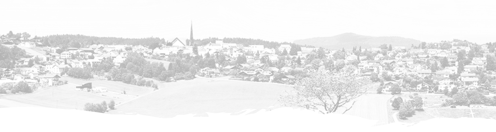 Bild Landschaft Markt Wegscheid