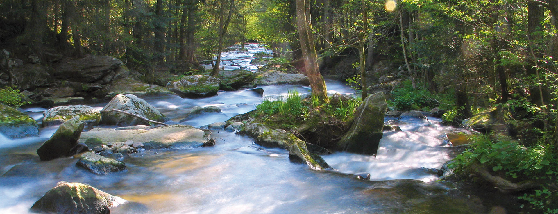 Bild Osterbach