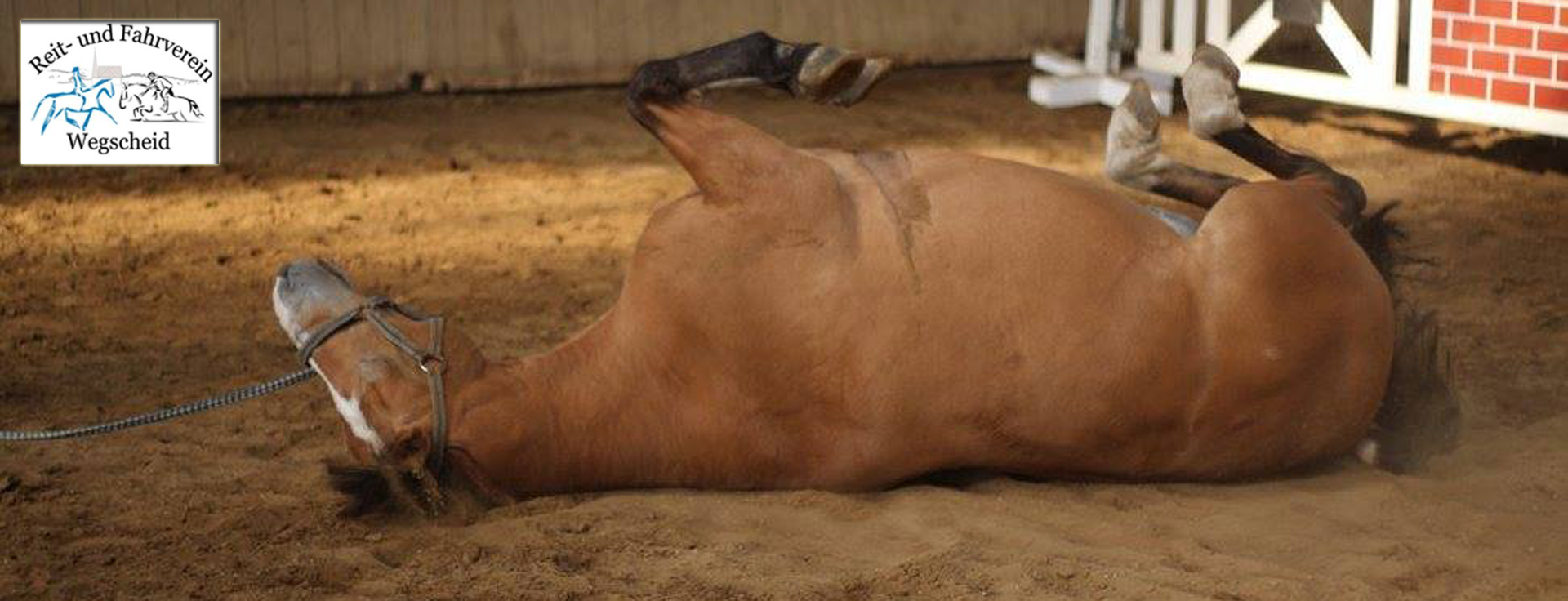 Pferd in Wegscheid, Kutschefahren Wegscheid, Springen in Wegscheid, Dressur in Bayern